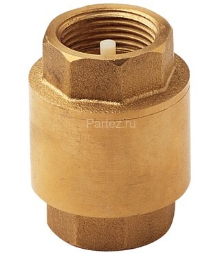 Клапан обратный 2"