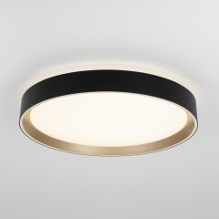 Потолочный светильник Citilux CL751351G