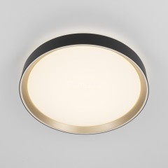 Потолочный светильник Citilux CL751351G