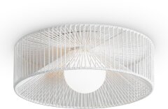 Потолочный светильник Freya FR5405CL-01W