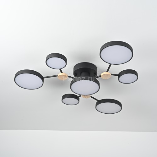 Потолочная люстра ImperiumLoft Gamma01