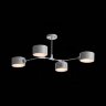 Потолочная люстра Evoluce SLE183702-04