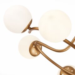 Потолочная люстра Evoluce SLE220602-06