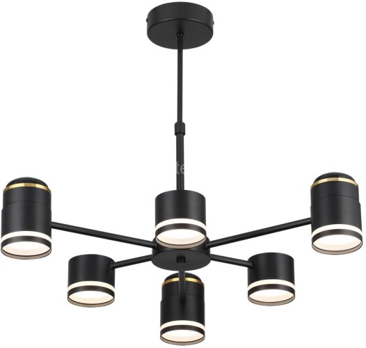 Потолочная люстра Lumion 8234/6C