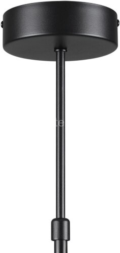 Потолочная люстра Lumion 8234/6C