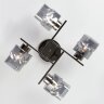 Потолочная люстра Eurosvet 30165/4 черный жемчуг