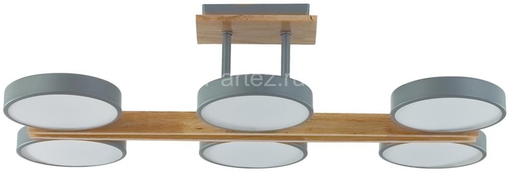 Потолочная люстра Lumion 8031/108CL