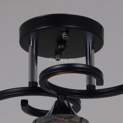 Потолочная люстра Reluce 06089-0.3-03 BK+CR