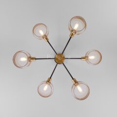 Потолочная люстра Eurosvet 70127/6 черный