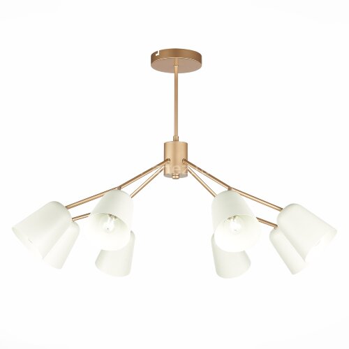 Потолочная люстра Evoluce SLE155902-08