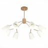 Потолочная люстра Evoluce SLE155902-08
