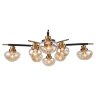 Потолочная люстра Lussole LGO GRLSP-8142