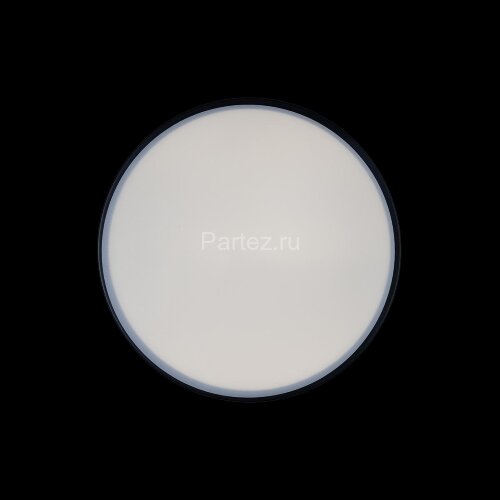 Потолочный светильник Loft It 10002/12 Black