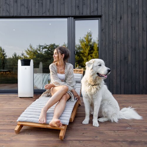 Кондиционер мобильный Electrolux EACM-12 RK/N6