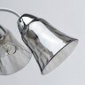 Потолочная люстра MW-Light 372014305