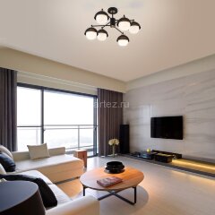 Потолочная люстра Eurosvet 70106/6 черный