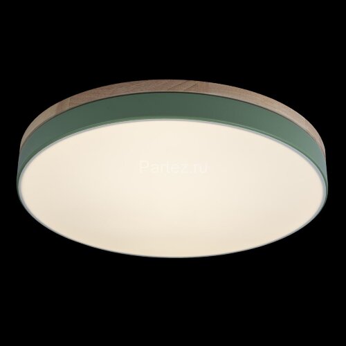 Потолочный светильник Loft It 10001/36 Green