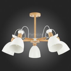 Потолочная люстра Evoluce SLE103802-05