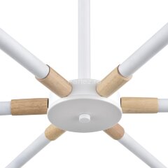 Потолочная люстра Lumion 8097/6C