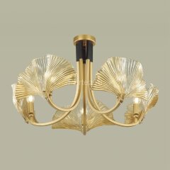 Потолочная люстра Odeon Light 4870/5