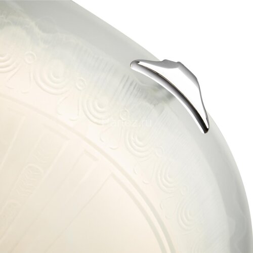 Настенно-потолочный светильник Sonex 7601/DL