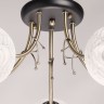 Потолочная люстра DeMarkt 677014505