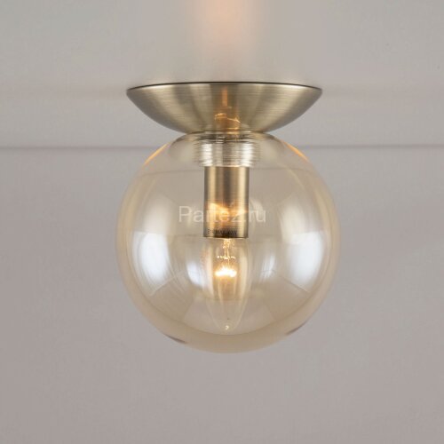 Настенно-потолочный светильник Citilux CL102513