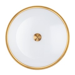 Настенно-потолочный светильник Odeon Light 4824/4C