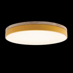 Потолочный светильник Loft It 10001/36 Yellow