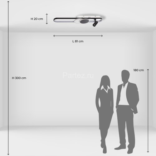 Настенно-потолочный светильник DeMarkt 377013604