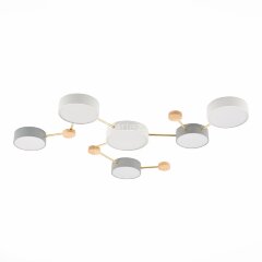 Потолочная люстра Evoluce SLE600102-06