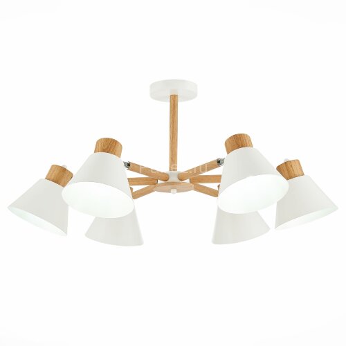 Потолочная люстра Evoluce SLE103702-06