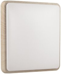 Настенно-потолочный светильник Sonex 7608/AL