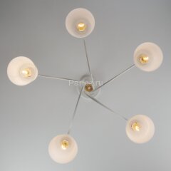 Потолочная люстра Eurosvet 70062/5 белый