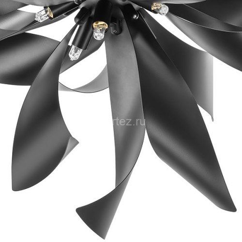 Потолочная люстра Lightstar 754167