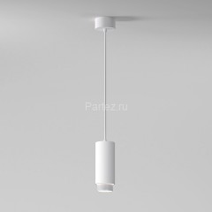 Подвесной светильник Elektrostandard 50122/1