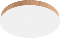 Потолочный светильник Feron 51110