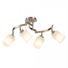 Потолочная люстра Citilux CL125142