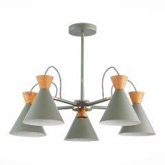 Потолочная люстра Evoluce SLE125112-05