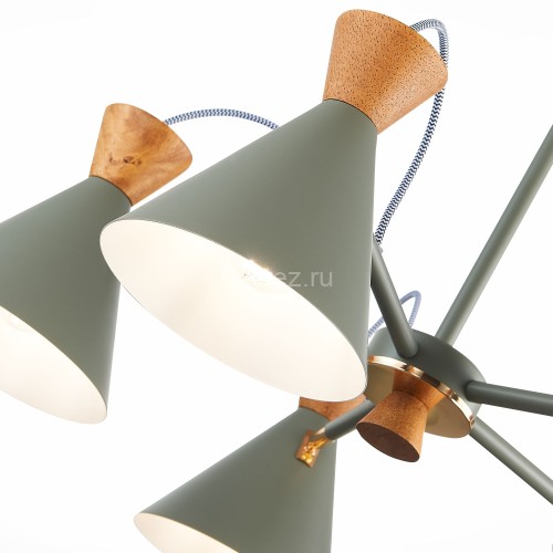 Потолочная люстра Evoluce SLE125112-05