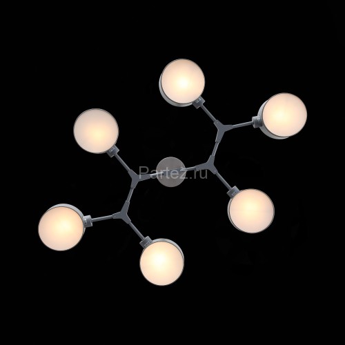 Потолочная люстра Evoluce SLE183702-06