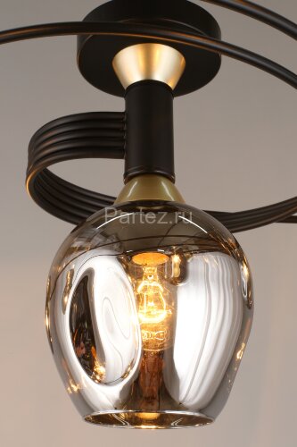 Потолочная люстра Aployt APL.611.17.06