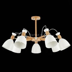 Потолочная люстра Evoluce SLE103802-07