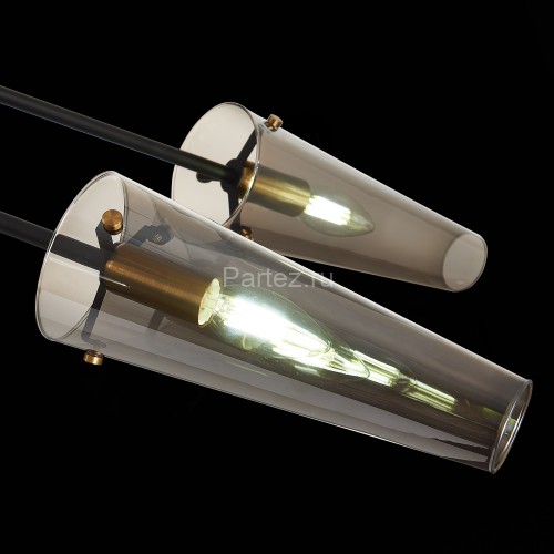 Потолочная люстра ST Luce SL1209.302.06