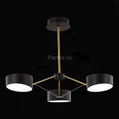 Потолочная люстра Evoluce SLE6005-402-03