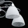 Потолочная люстра MW-Light 676014805