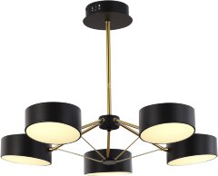 Потолочная люстра Evoluce SLE6005-402-05