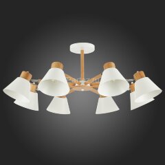 Потолочная люстра Evoluce SLE103702-08