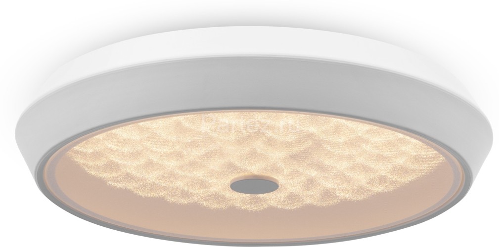 Потолочный светильник Freya FR10012CL-L24W